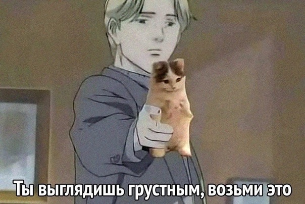 В свете последних событий)