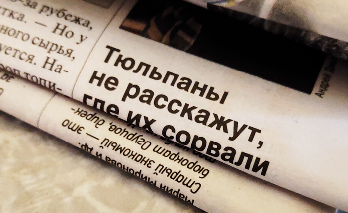 Тюльпаны молчат, говорить не хотят