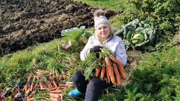 Лучший сорт моркови для зимнего хранения!