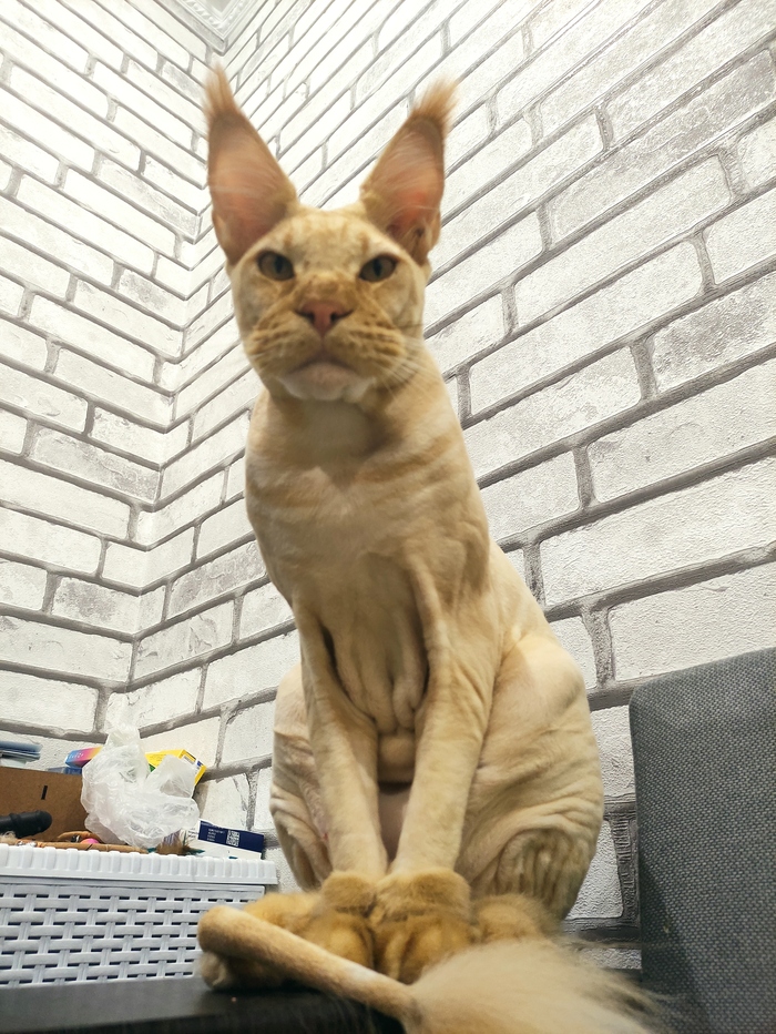 Надменность