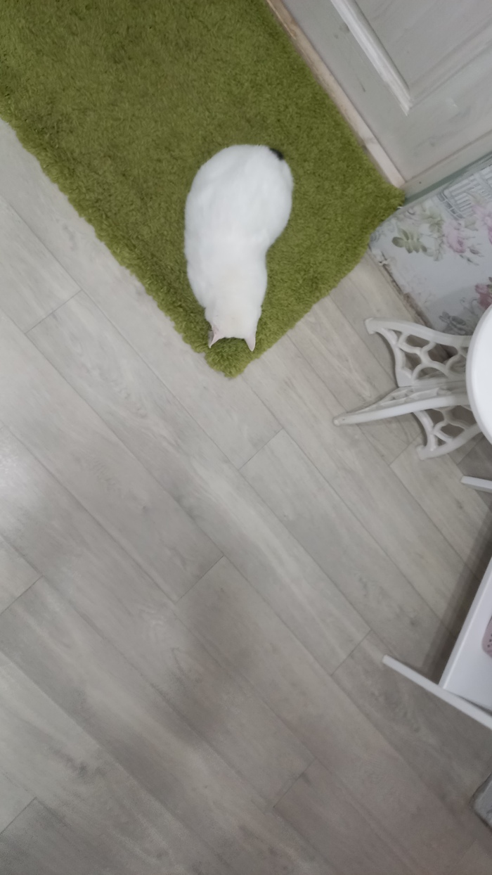    , , , , 