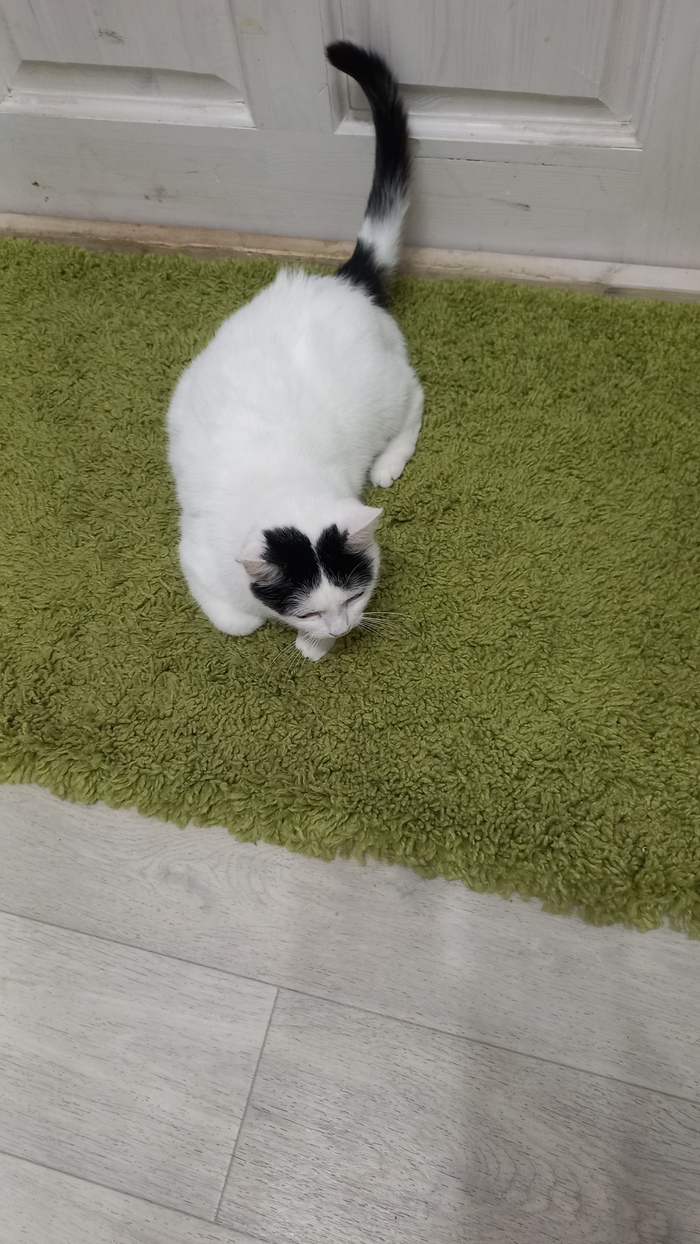    , , , , 