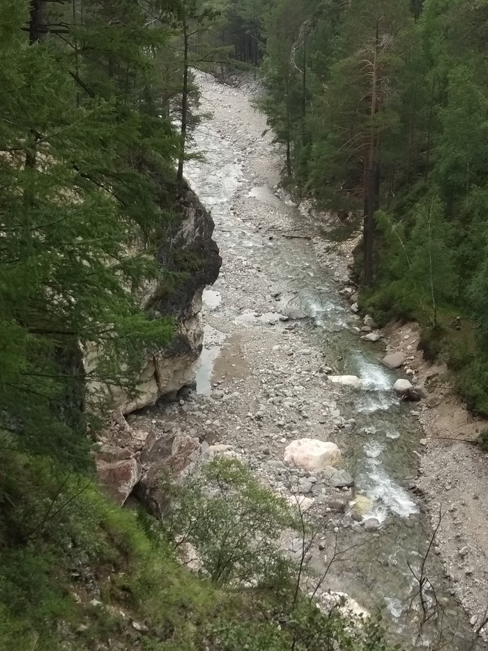 Свобода мыслей