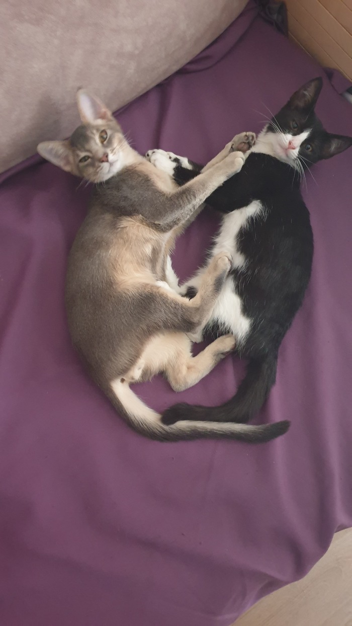 ��������� �������� ���!