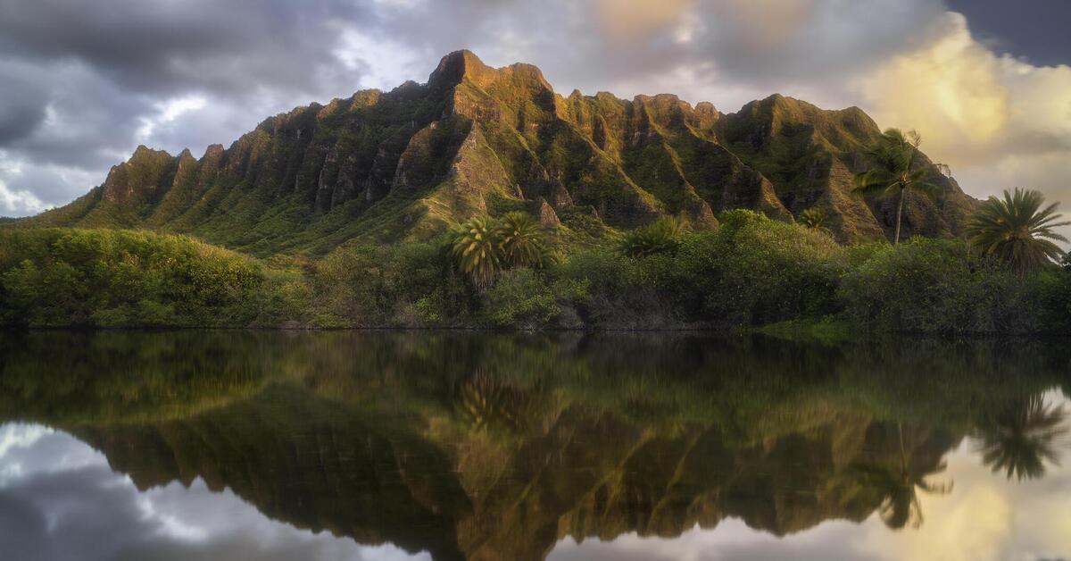 Oahu koko Creater