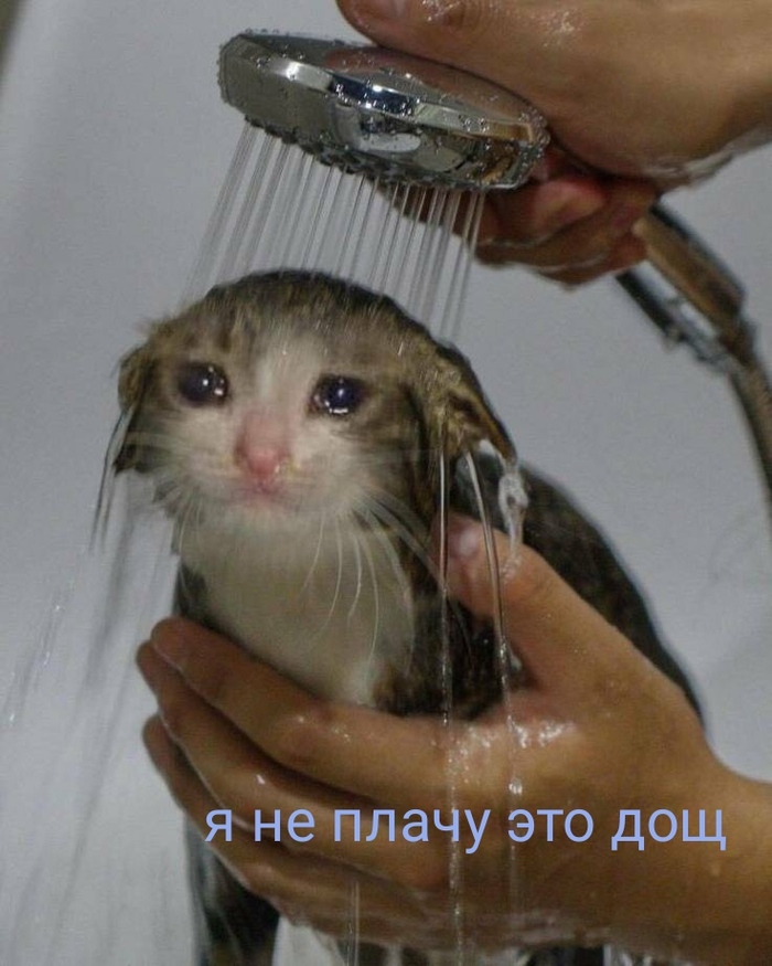 Небольшое недомогание