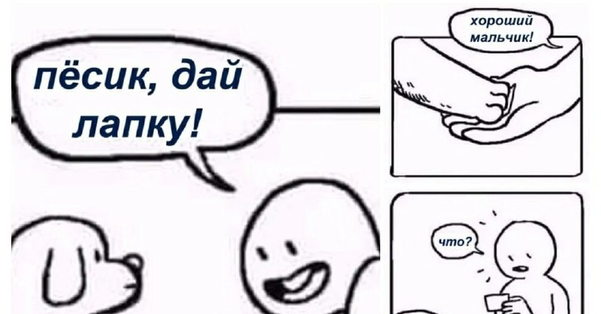 И ты, Брут? | Пикабу