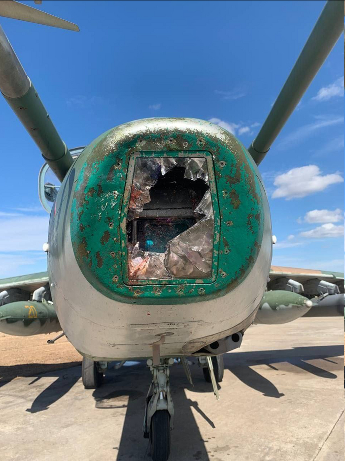 Найди на фото птичку