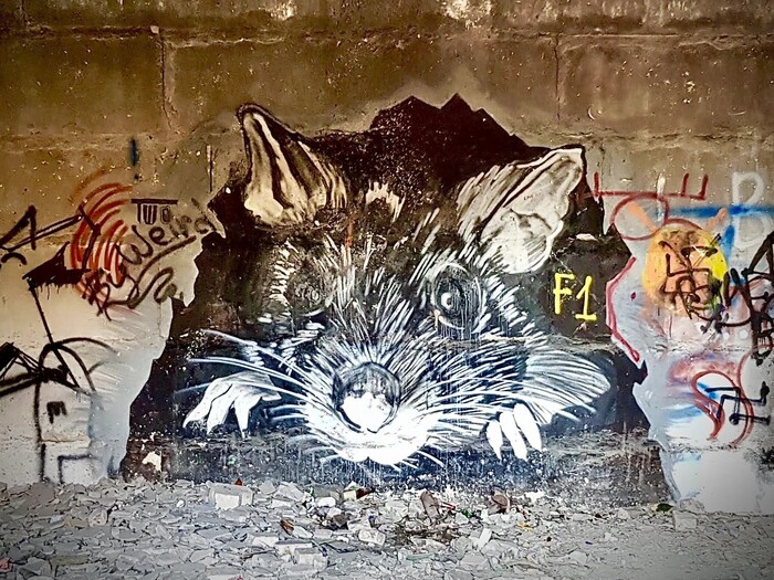 Хорошая девочка Лида... ударила в спину меня Негатив, Рассказ, Истории из жизни, Подлость, Предательство, Воспоминания, Длиннопост Хорошая девочка Лида... ударила в спину меня Негатив, Рассказ, Истории из жизни, Подлость, Предательство, Воспоминания, Длиннопост