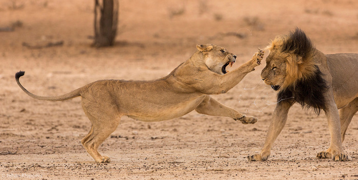 Где шлялся всю ночь, туда и иди!