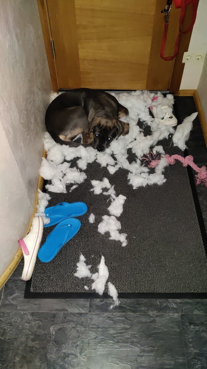 ����� �������