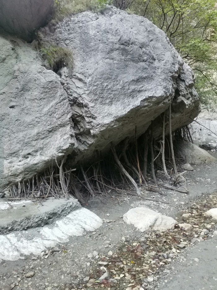 �������� ������