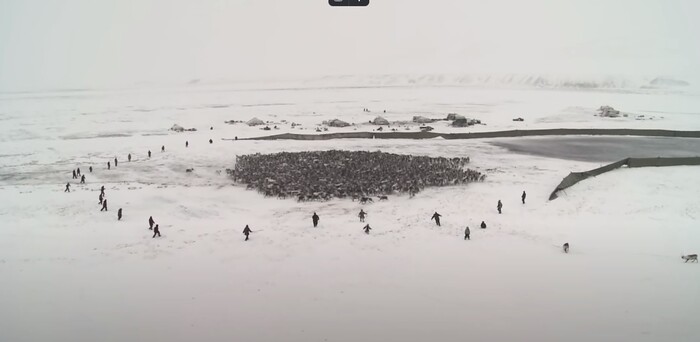 Коротко о ситуации в стране после частичной мобилизации