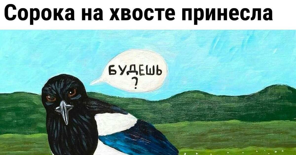 Сорока на хвосте принесла ютуб канал блоггер
