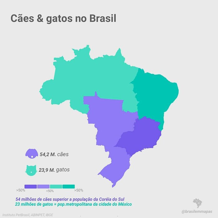 В каких штатах Бразилии больше всего собак и кошек