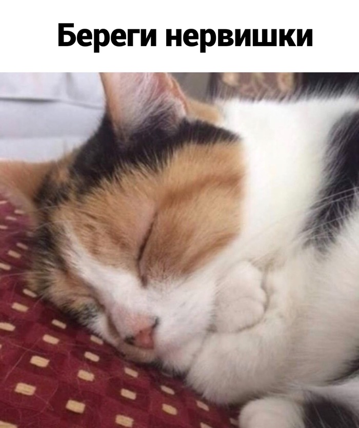 � ����� ����������� �����