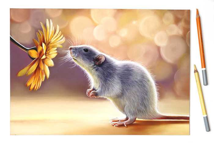 Солнечная Шуша