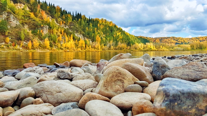 ������ �����