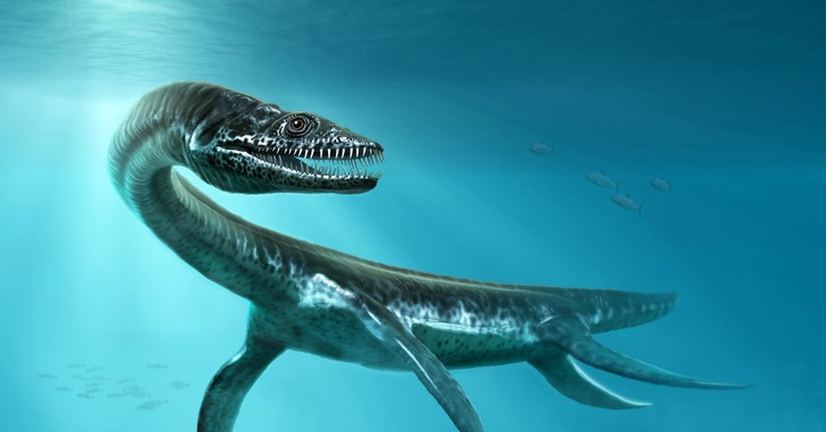 Морские динозавры 3d путешествие в доисторический. Несси Плиозавр. Несси Ихтиозавр. Морские динозавры мелового периода. Водные динозавры.