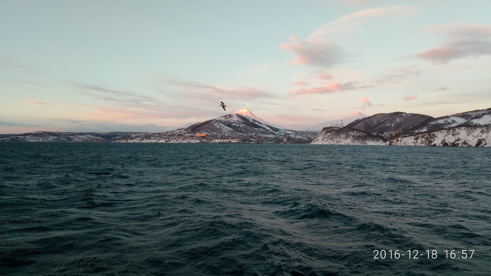 �������������-���������� �����