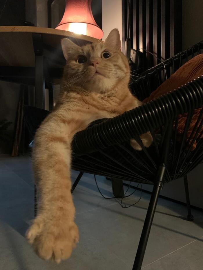  , 