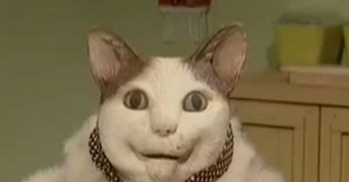 Un шлак кот. Нежное аппетитное дерьмецо. Un-шлак! un-шлак! | tv funhouse баня. Кот дерьмецо. Нежное аппетитное дерьмецо.