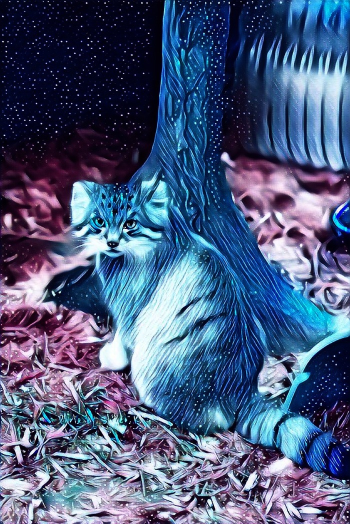   -! ,  ,  , 