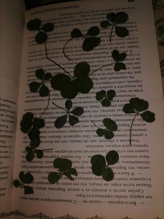 ���� ���� �� ���-�� ������