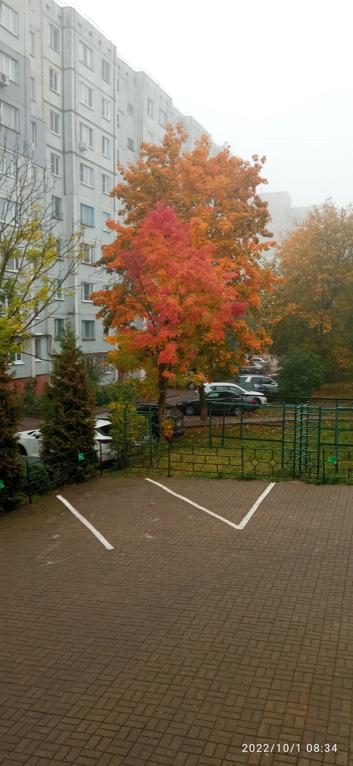 ������ � ������