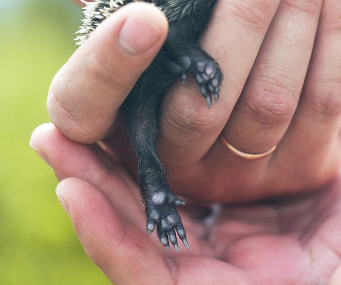 ��� ������ ����������� �����!)