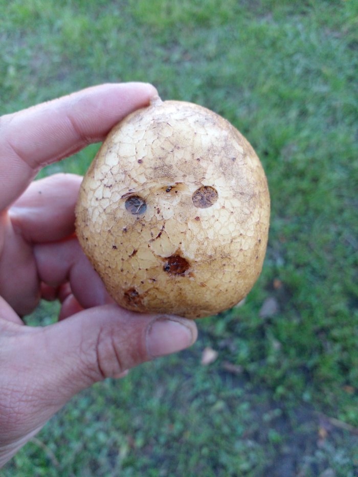     , -, , 