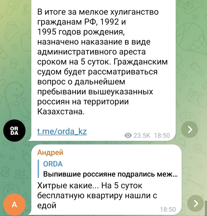 Как сейчас найти временное жильё в Казахстане Казахстан, Мобилизация, Telegram, Скриншот