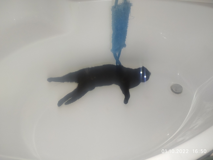    ,   !