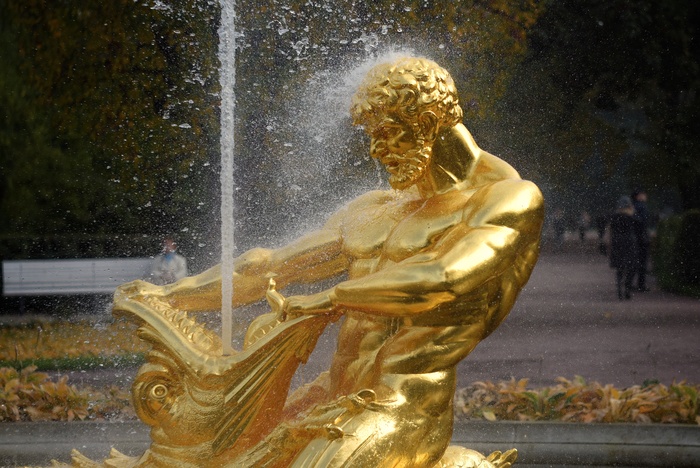 � � ��� ����������