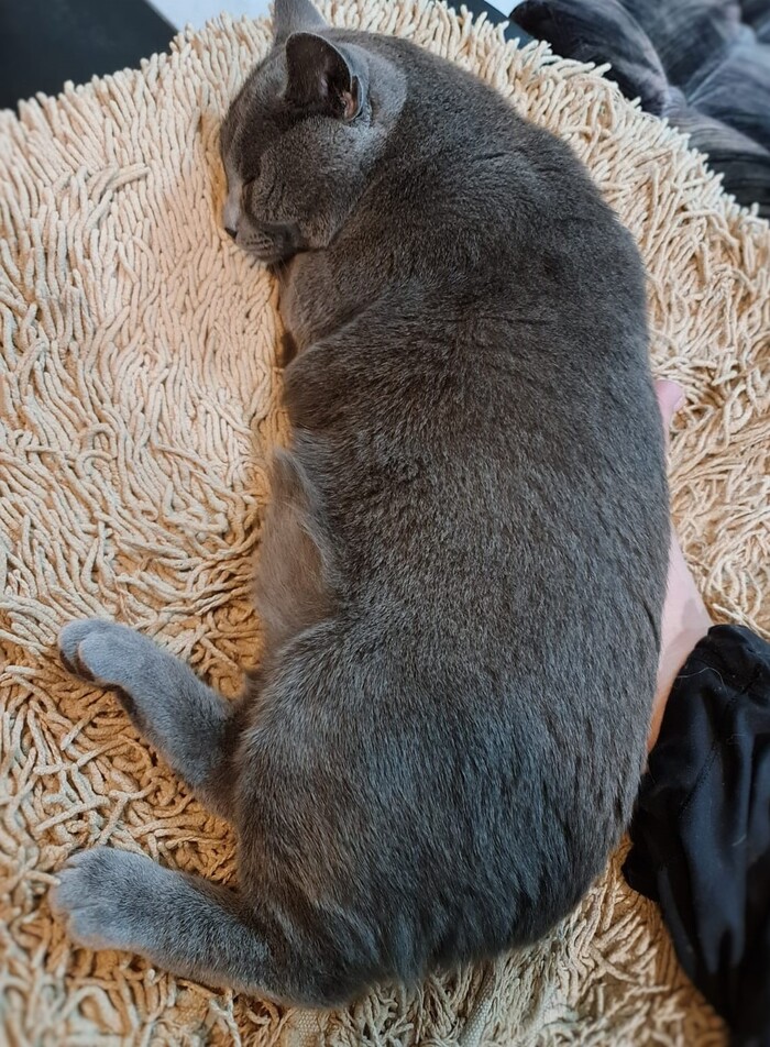 ������� �����