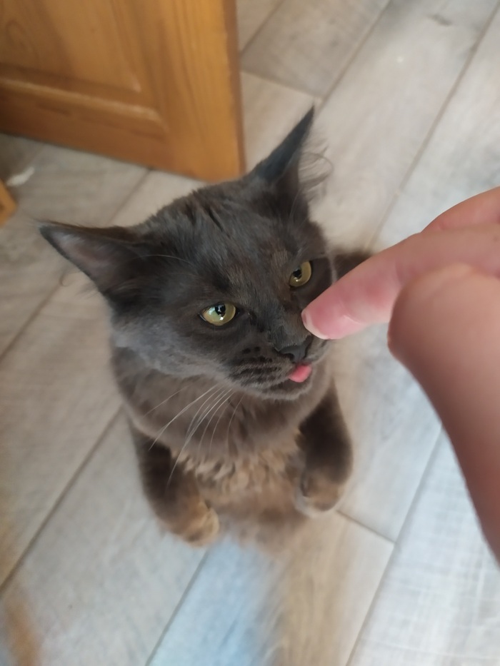           , , ,   , 