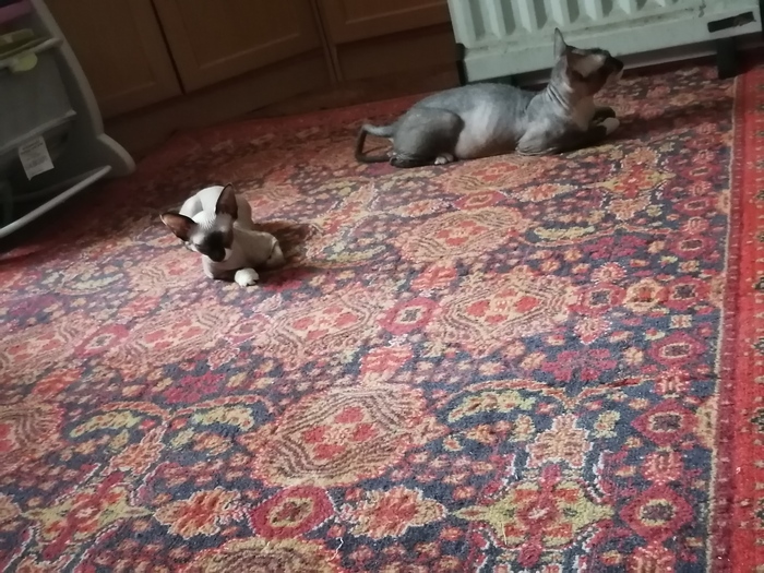 Доброе утро!)