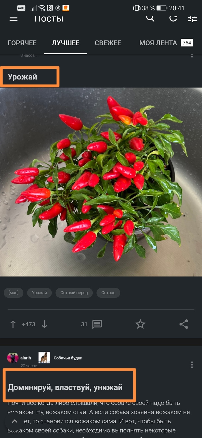 Рифма в ленте