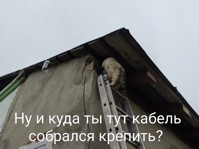 Технадзор | Пикабу