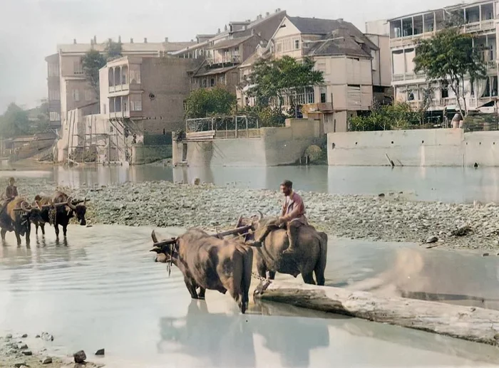 Тифлис конца XIX – начала XX веков Старое фото, Колоризация, Фотография, Храм, История, Российская империя, Грузия, Тбилиси, Длиннопост