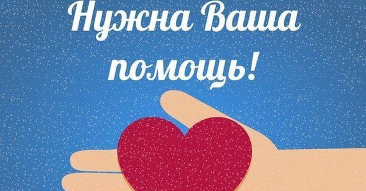 Требуется ваша помощь