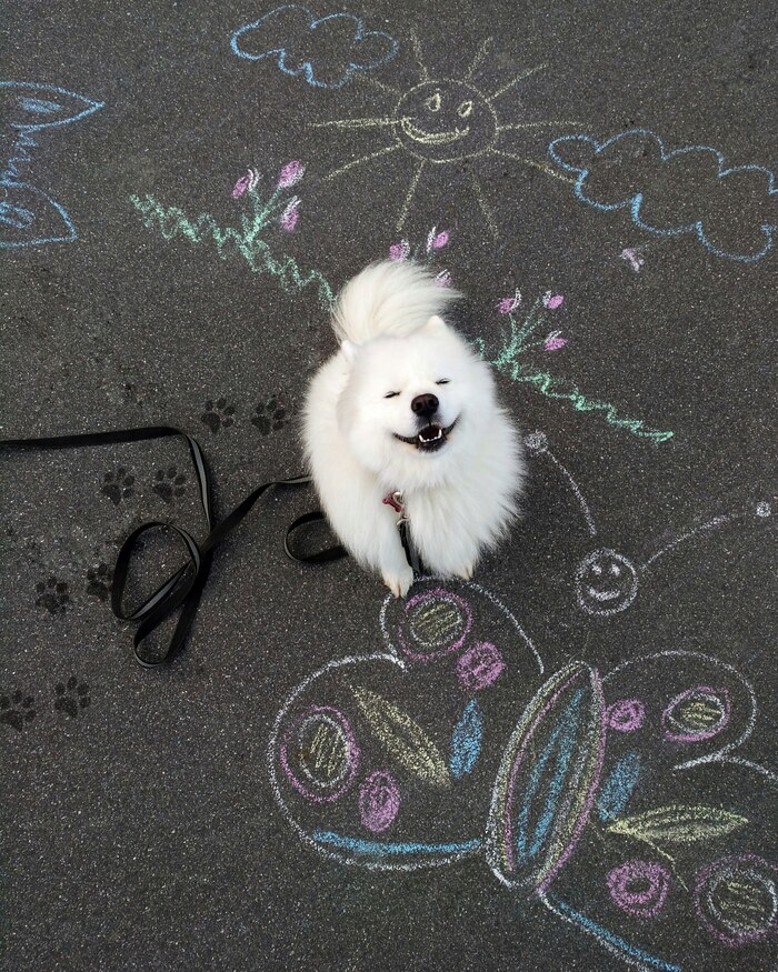 ���� ������� ������, �� ��� ������ ����� ��� ����?