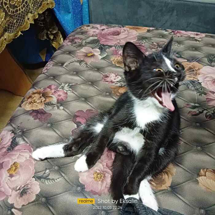 �������