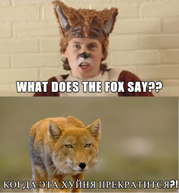     , What Does The Fox Say, , , , ,   