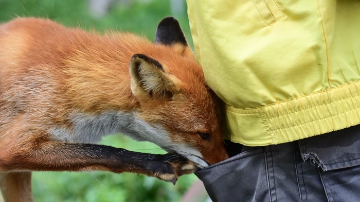 ����� ���� �� �����, ��� � ���� ������ ��� ��� ���