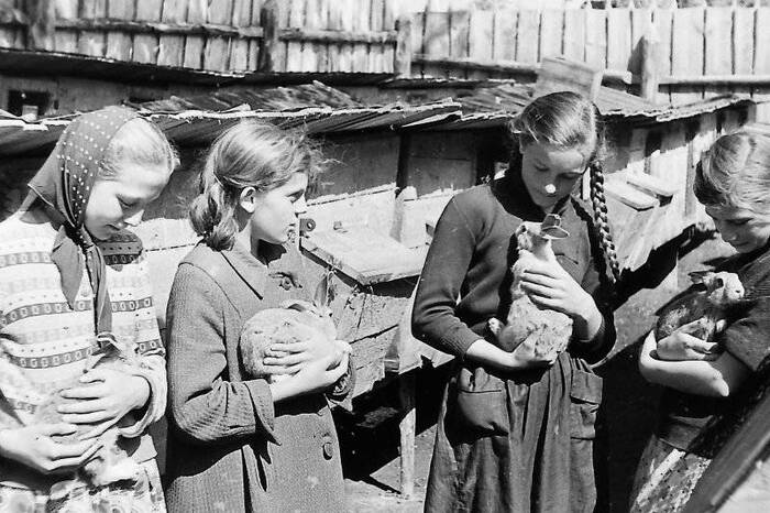 , 1951