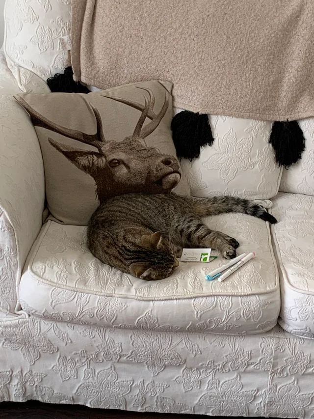 Показалось...