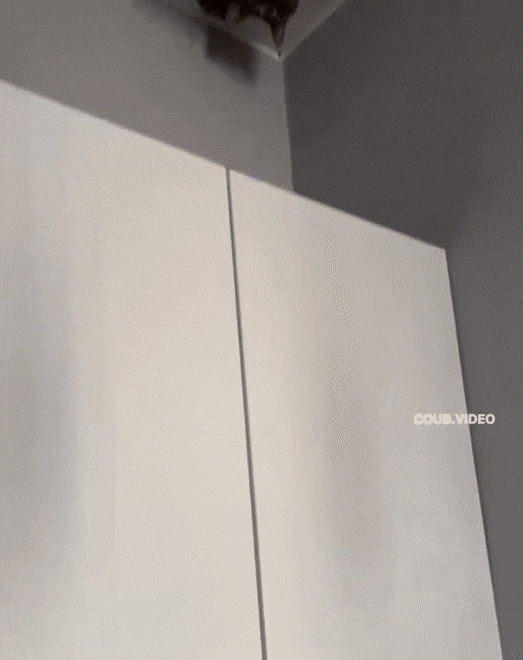      , , , 