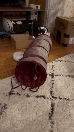      , , , 