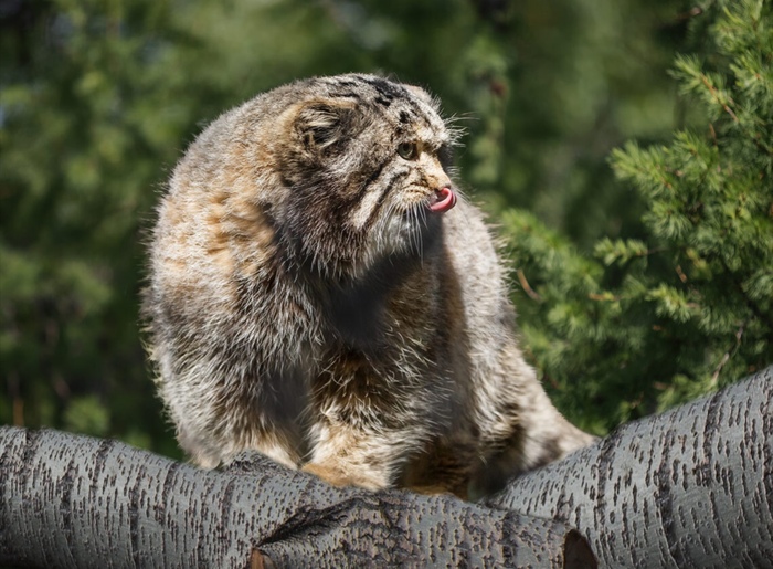 �����, ���� � ���!